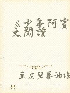 《少年阿宾》全文阅读