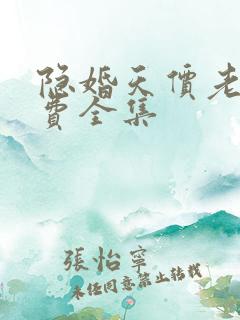 隐婚天价老公免费全集