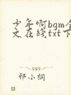 少年啊bgm全文在线txt下载