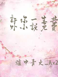 许你一生共主内外小说免费阅读