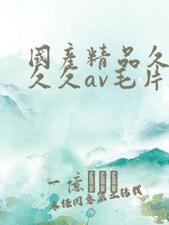 国产精品久久久久久av毛片