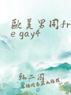欧美男同free gay4