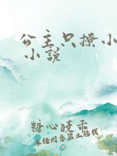 公主只撩小暗卫 小说