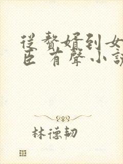 从赘婿到女帝宠臣 有声小说