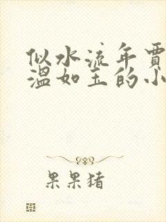 似水流年贾二虎温如玉的小说