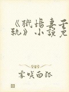 《职场妻子的出轨》小说免费阅读