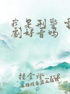 我是刑警 电视剧好看吗