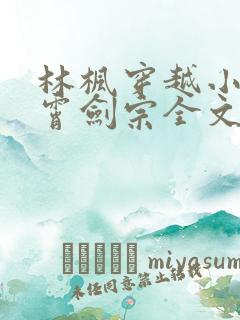 林枫穿越小说神霄剑宗全文阅读578