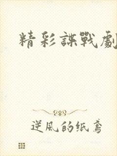 精彩谍战剧推荐