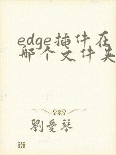 edge插件在哪个文件夹