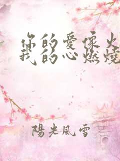 你的爱像火苗把我的心燃烧歌词