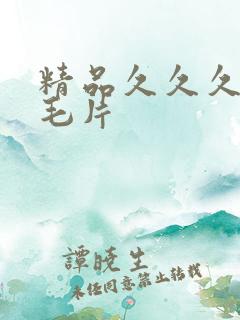 精品久久久久久毛片