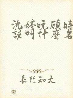 沈婷晚顾时夜小说叫什么名字