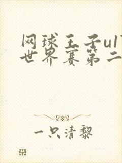 网球王子u17世界赛第二季