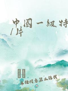 中国一级特黄大/片