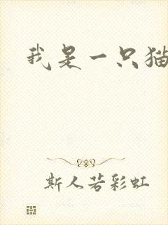 我是一只猫动画