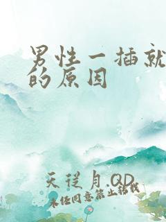 男性一插就想射的原因