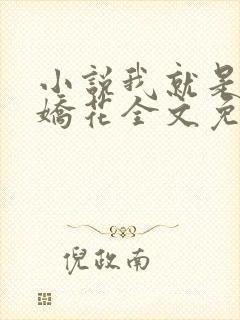 小说我就是如此娇花全文免费阅读