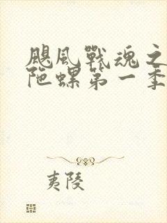 飓风战魂之剑旋陀螺第一季