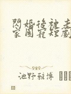 闪婚后被老公全家团宠短剧高清