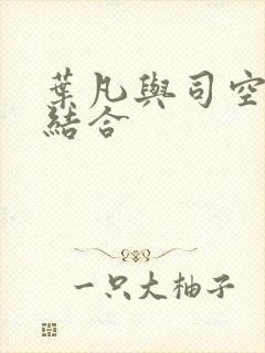 叶凡与司空嫣然结合