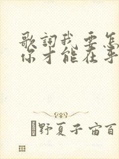 歌词我要怎么说你才能在乎我