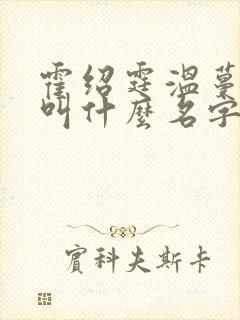 霍绍霆温蔓小说叫什么名字