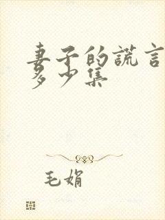 妻子的谎言总共多少集