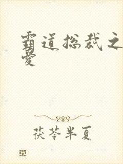 霸道总裁之轻轻爱