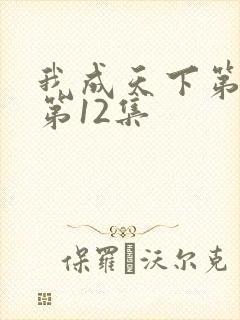 我成天下第一婿第12集