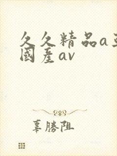 久久精品a亚洲国产av