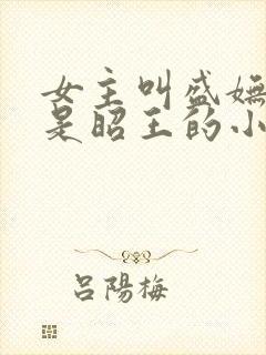 女主叫盛妩男主是昭王的小说