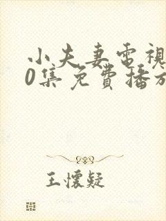 小夫妻电视剧40集免费播放