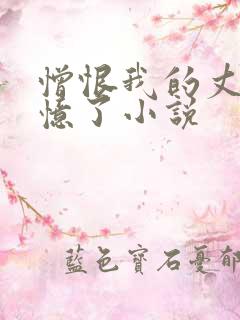 憎恨我的丈夫失忆了小说