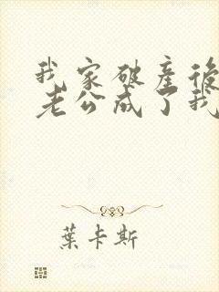 我家破产后上门老公成了我的金主小说