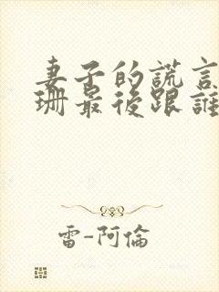 妻子的谎言江一珊最后跟谁在一起