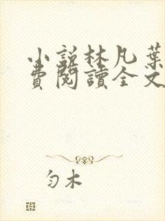 小说林凡叶惜免费阅读全文最新