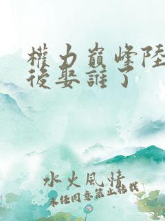 权力巅峰陆皓最后娶谁了