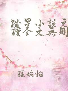 踏星小说免费阅读全文无删减