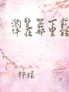 浏览器下载的文件在哪里能找到