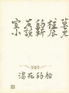 室友的校草男友小说靳辰免费阅读下载