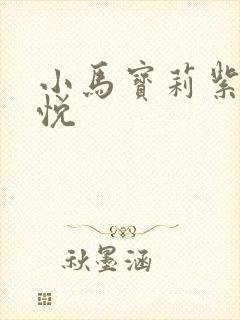 小马宝莉紫悦紫悦