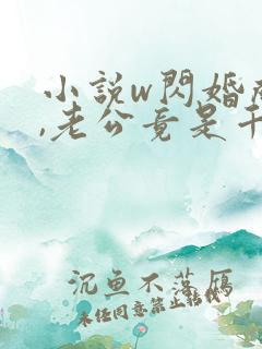 小说w闪婚成宠,老公竟是千亿大佬》