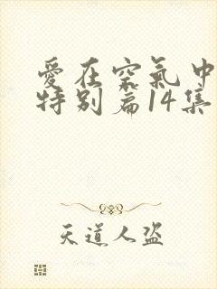 爱在空气中泰剧特别篇14集