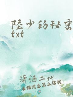 陆少的秘密恋人txt