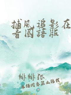 捕风追影在线观看国语版