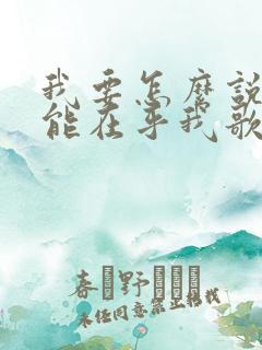 我要怎么说你才能在乎我歌名