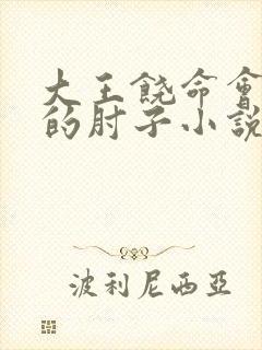 大王饶命会说话的肘子小说免费全集