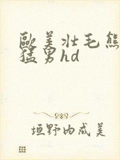 欧美壮毛熊同志猛男hd