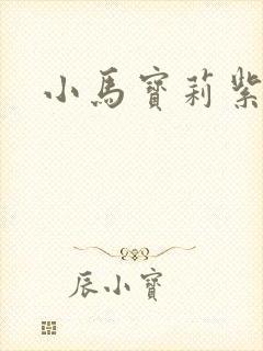 小马宝莉紫悦画